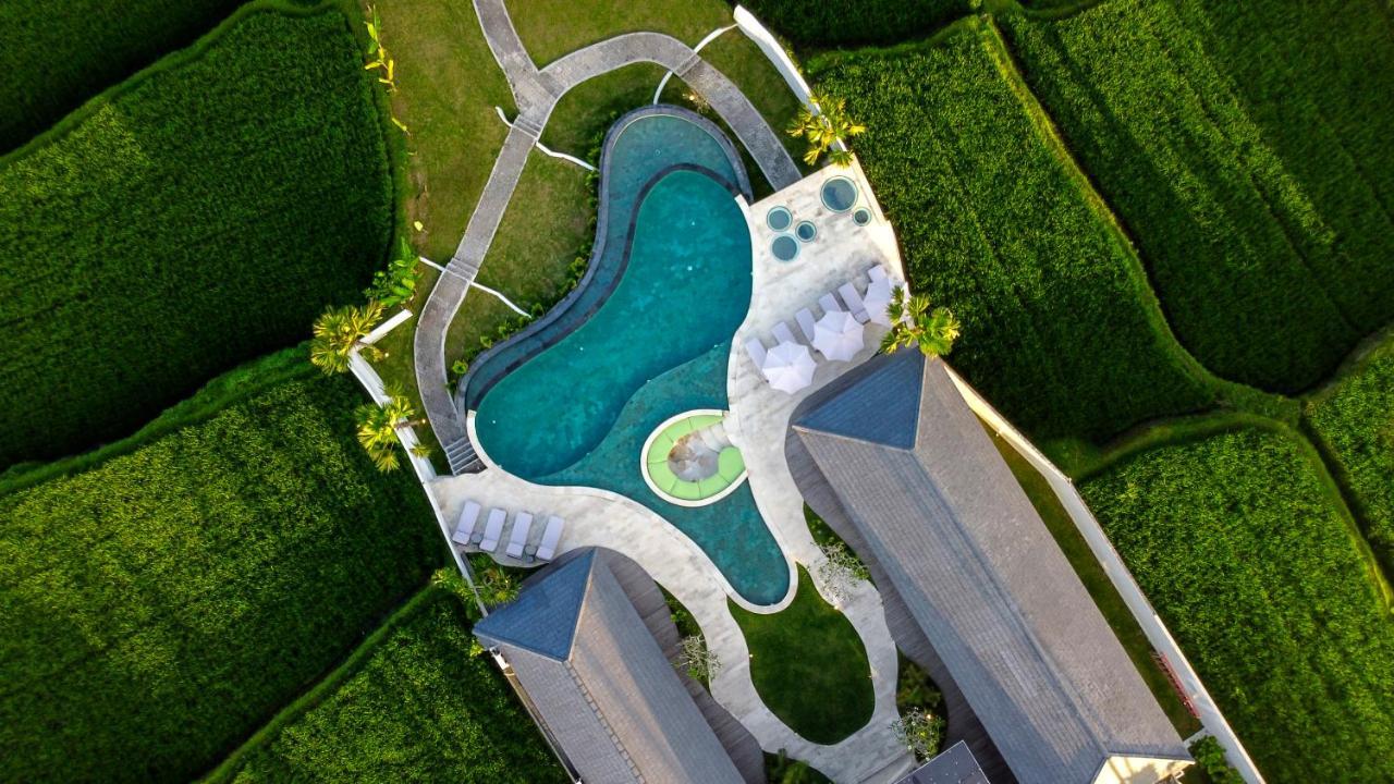 Villa Paradise By Balisuperhost Убуд Экстерьер фото